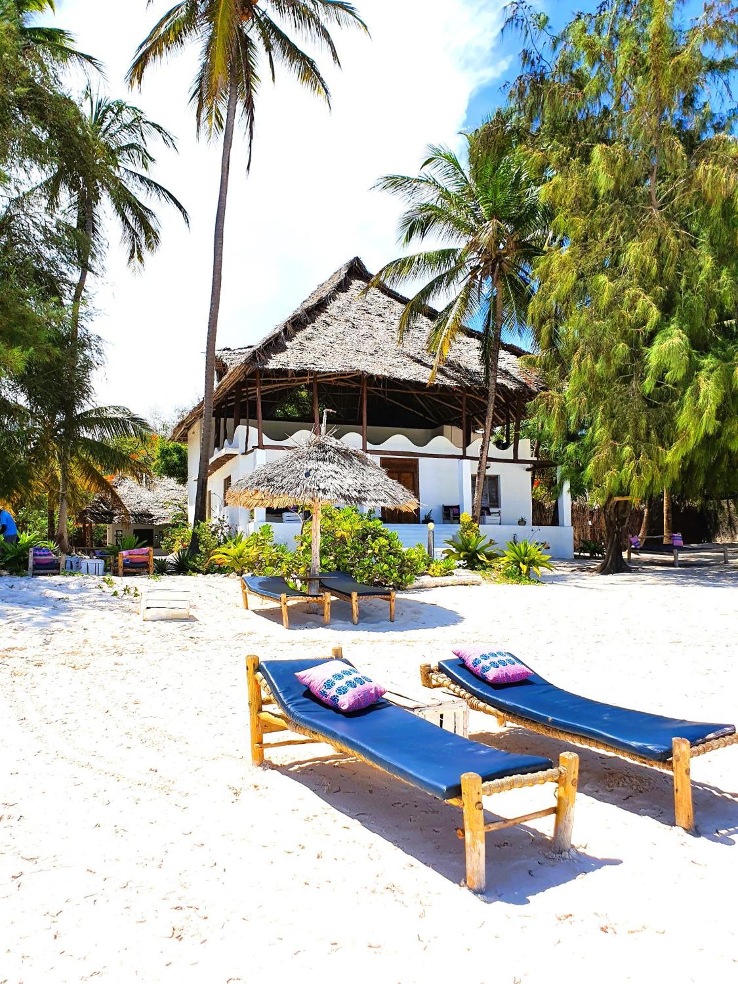 Blue Palm Zanzibar Bed & Breakfast Bwejuu Luaran gambar